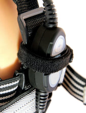 Ladda upp bild till gallerivisning, HYPERION M TIGER